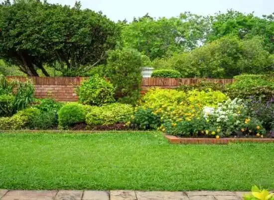 landscaping services Elkin